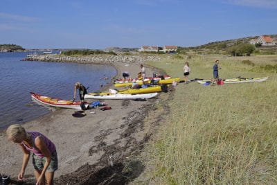 Onsdagspaddling, Grönemad