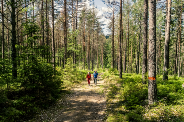 Photo Credits: Lukasz Warzecha/Westsweden.com